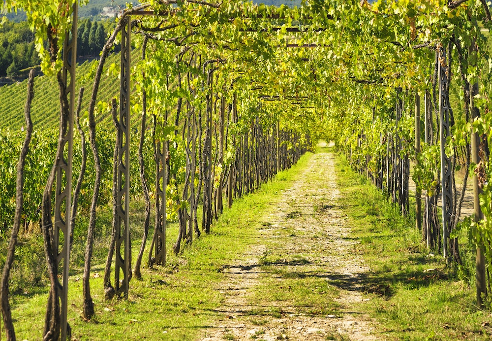 Les avantages de l'achat d'une pergola en bois pour votre maison