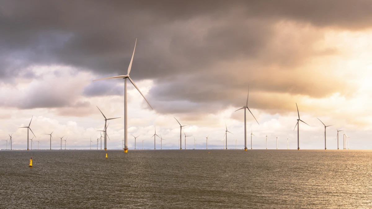 Ma Prime Renov Jaune 2024 : Tout savoir sur ce dispositif pour une transition énergétique réussie